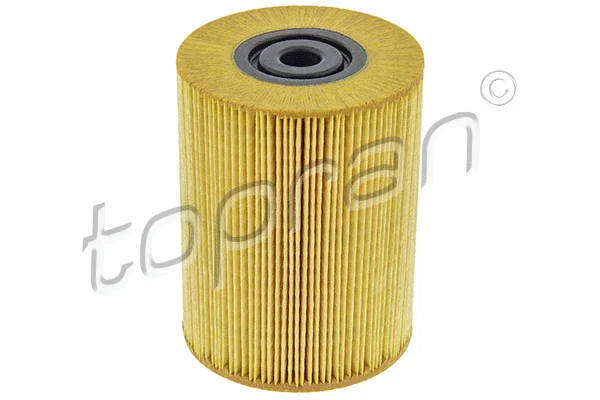 Fuel Filter (113 516)