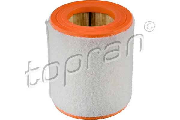 Air Filter (113 903)