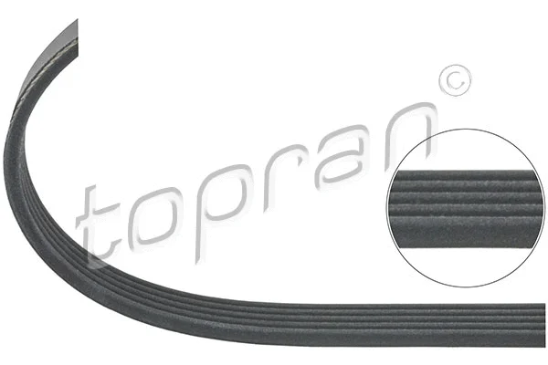 V-Ribbed Belt (100 337)