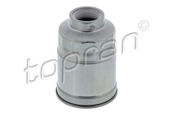 Fuel Filter (701 565)