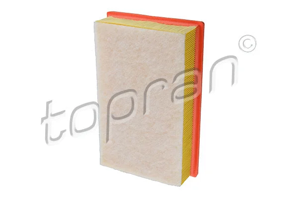 Air Filter (304 270)