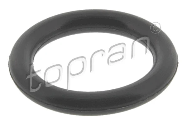 Seal Ring, cylinder head cover bolt (206 528)