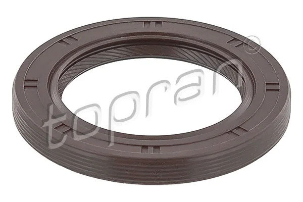 Shaft Seal, crankshaft (722 520)