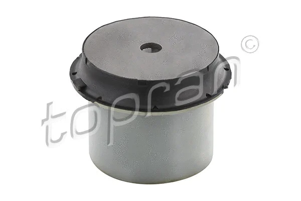 Bushing, axle beam (634 402)