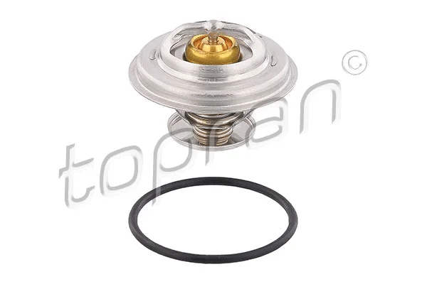 Thermostat, coolant (500 546)