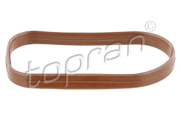 Gasket, intake manifold (408 439)