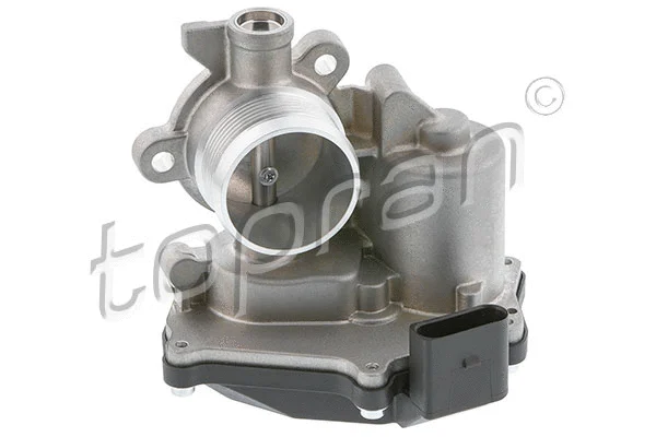 EGR Valve (639 184)