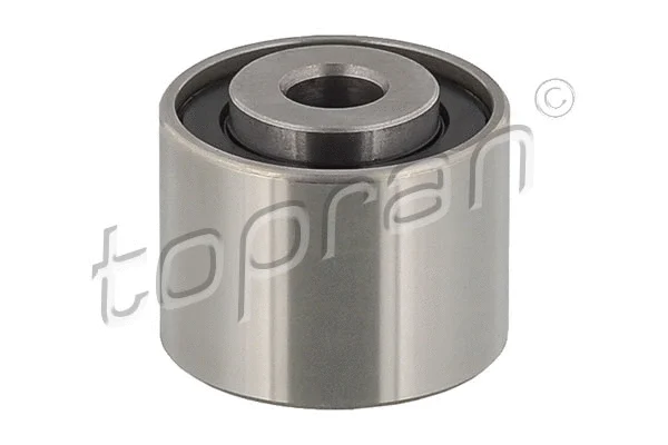 Deflection/Guide Pulley, V-ribbed belt (722 435)