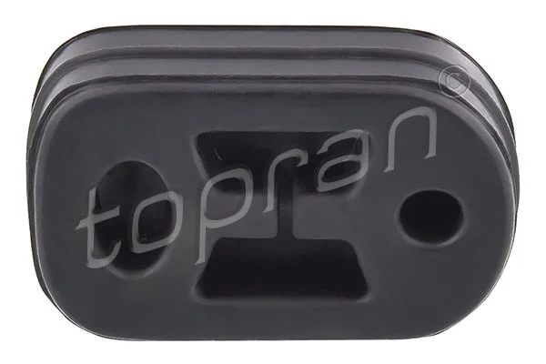 Mount, exhaust system (721 941)