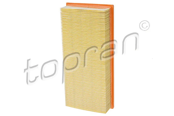 Air Filter (500 234)