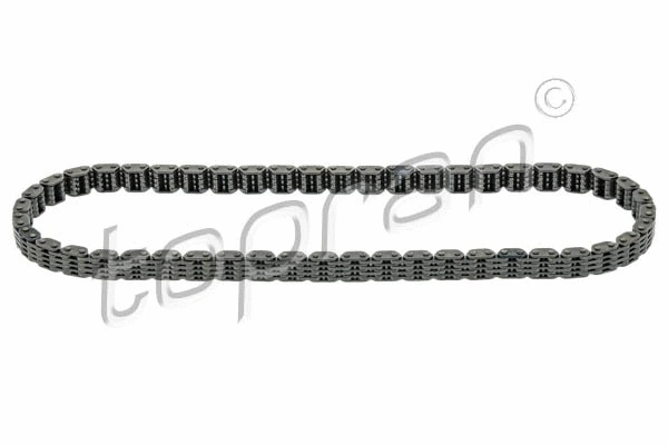 Timing Chain (116 210)
