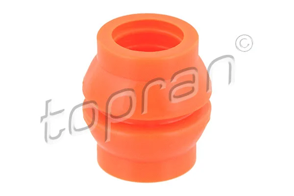 Bushing, selector/shift rod (107 325)