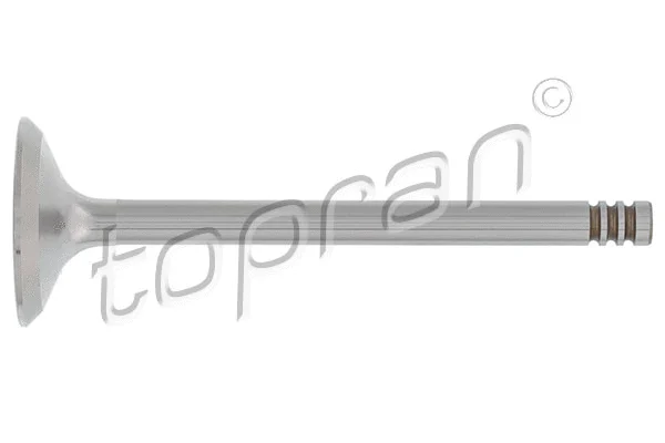 Intake Valve (110 204)