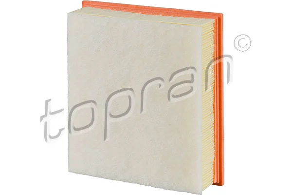 Air Filter (304 201)