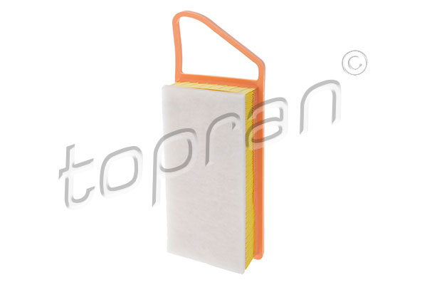 Air Filter (720 965)