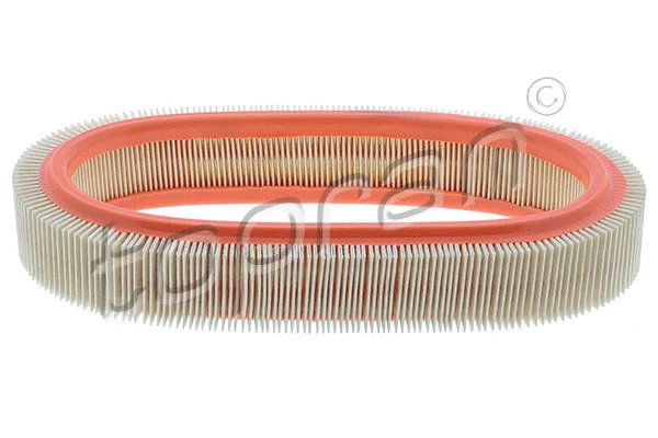 Air Filter (201 655)