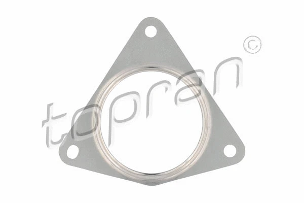 Gasket, exhaust pipe (700 613)
