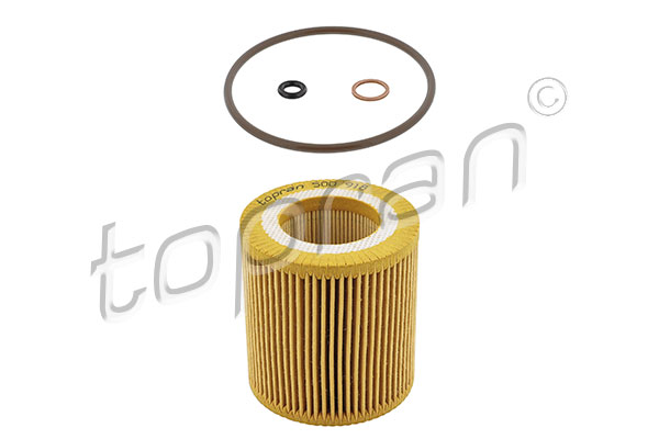 Oil Filter (500 918)