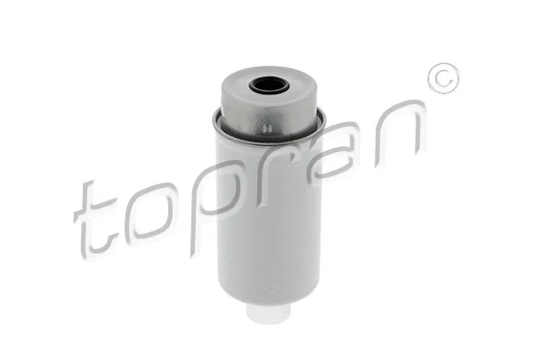 Fuel Filter (302 371)