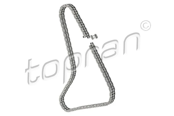 Timing Chain (409 442)