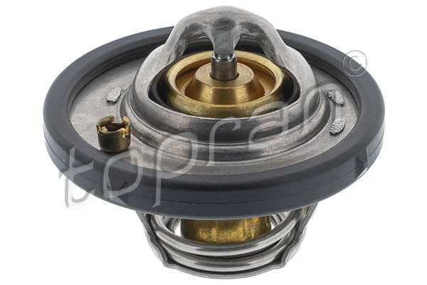 Thermostat, coolant (304 171)