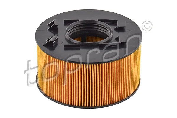 Air Filter (500 934)