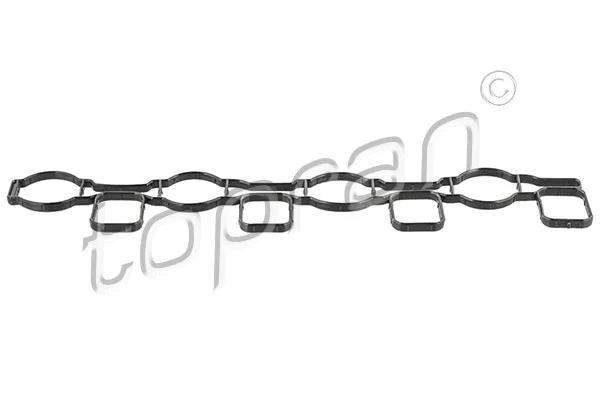 Gasket, intake manifold (112 960)