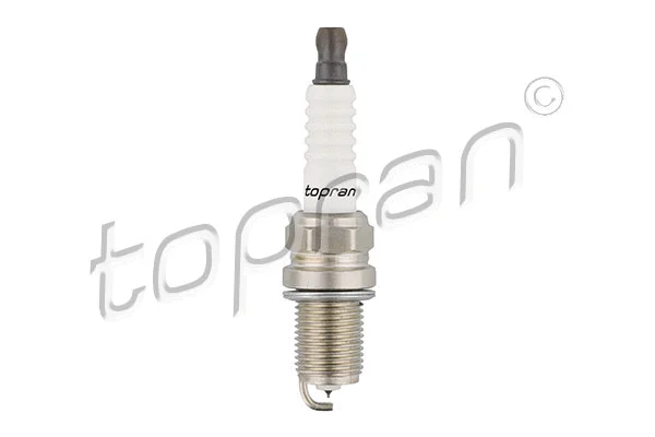 Spark Plug (408 496)