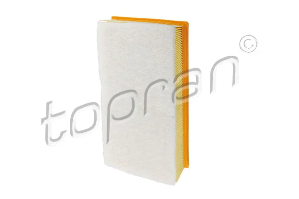 Air Filter (723 676)