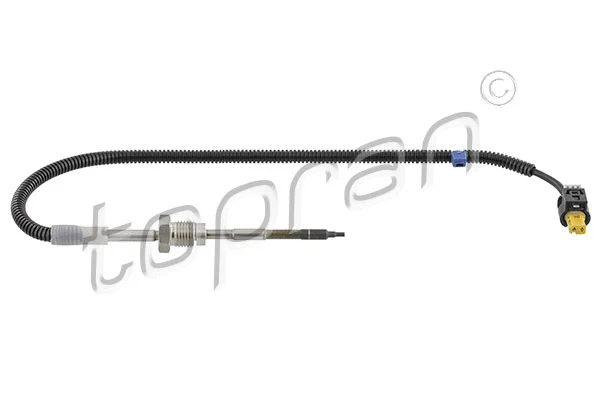 Sensor, exhaust gas temperature (638 562)