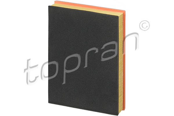 Air Filter (113 878)