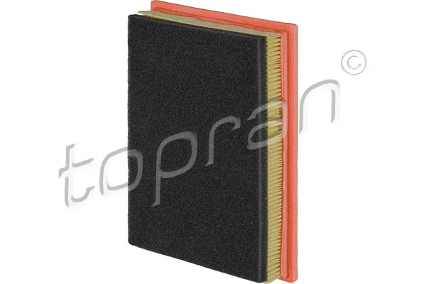 Air Filter (501 920)