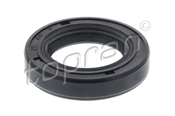 Shaft Seal, drive shaft (100 059)