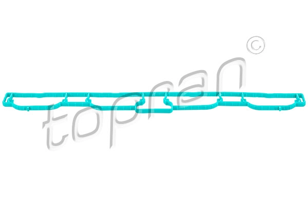 Gasket, intake manifold (113 160)