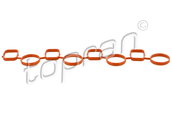 Gasket, intake manifold (117 180)