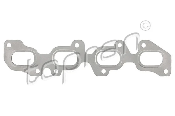 Gasket, exhaust manifold (117 011)