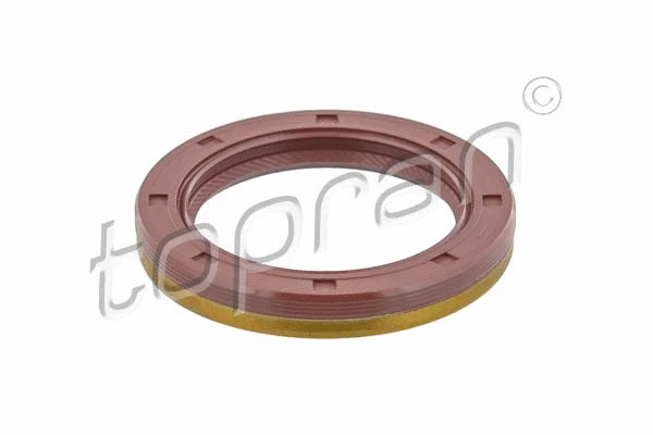 Shaft Seal, camshaft (305 068)