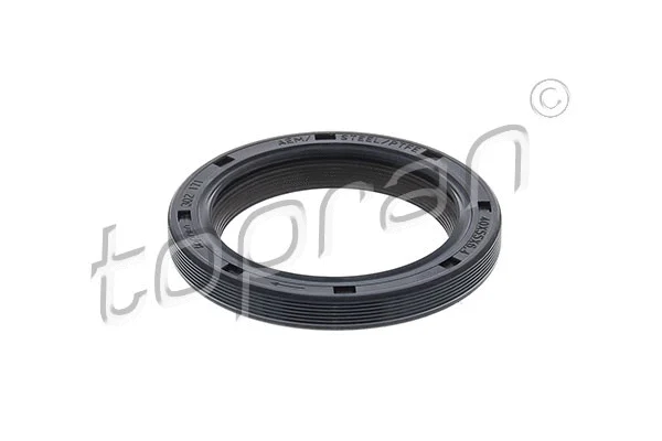 Shaft Seal, crankshaft (302 171)