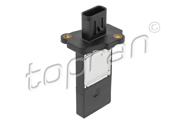 Mass Air Flow Sensor (302 802)