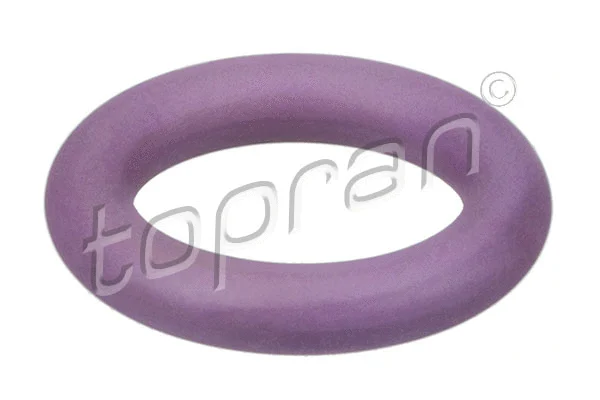 Sealing Ring, coolant line (114 775)