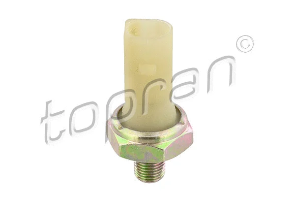 Oil Pressure Switch (110 166)