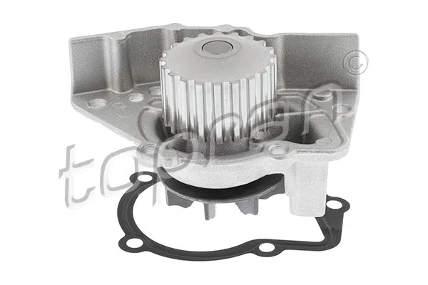 Water Pump, engine cooling (720 163)
