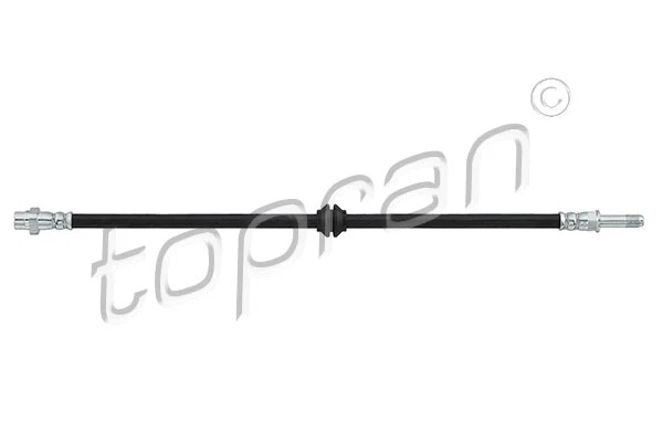 Brake Hose (500 756)