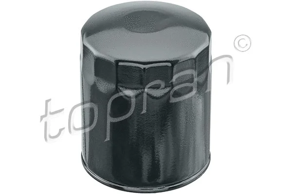 Oil Filter (820 160)