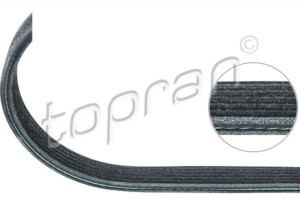 V-Ribbed Belt (109 659)