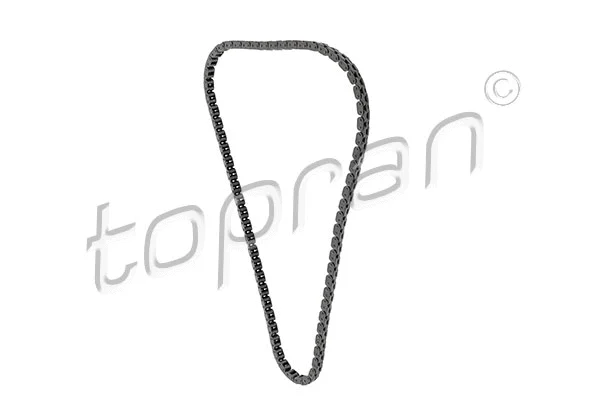 Timing Chain (304 758)