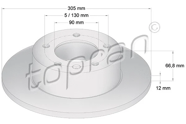 Brake Disc (207 071)