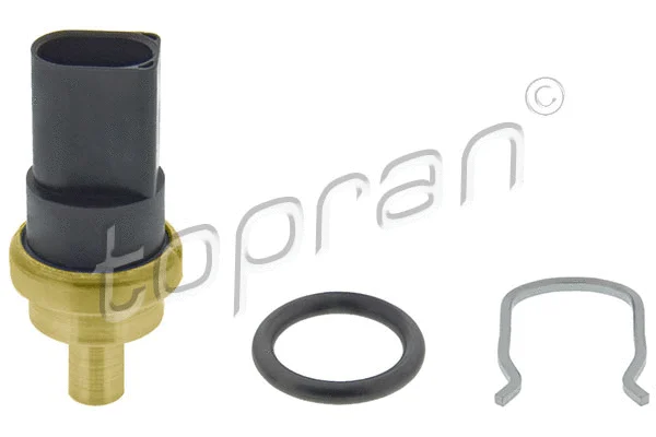 Sensor, fuel temperature (115 175)
