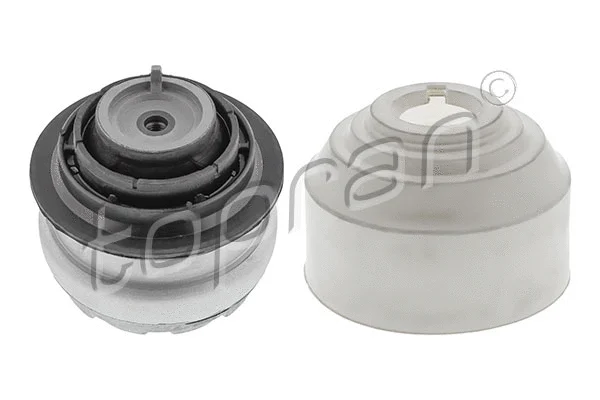 Mounting, engine (407 841)