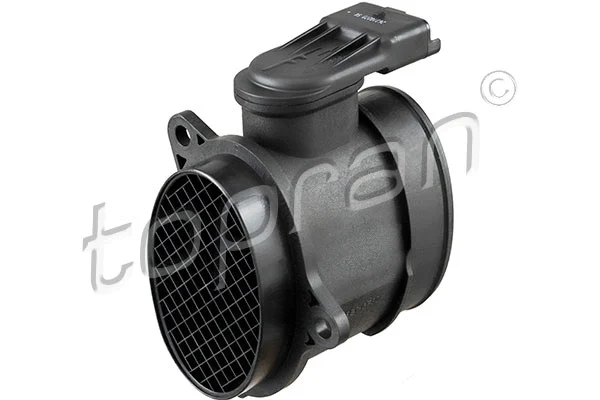 Mass Air Flow Sensor (302 696)